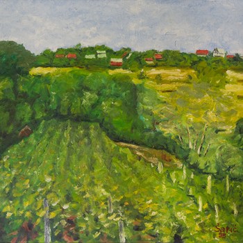 Hills