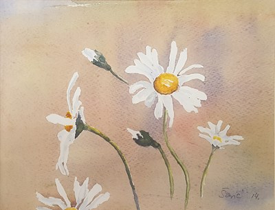 Marguerites