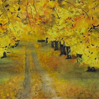Autumn 2
