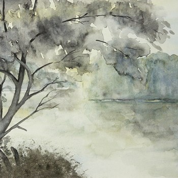 Through fog