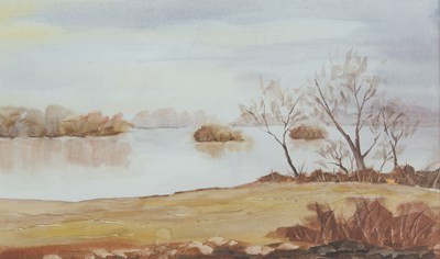 Landscape 18