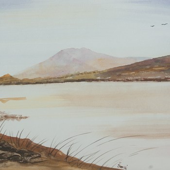 Landscape 20
