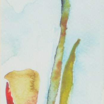 Flower 2