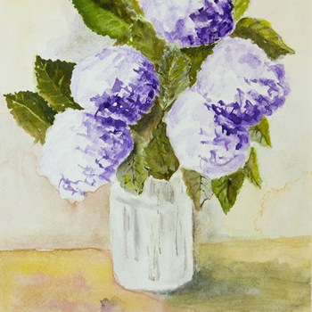 Hydrangeas