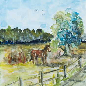 In the country