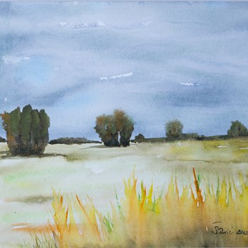 Landscape
