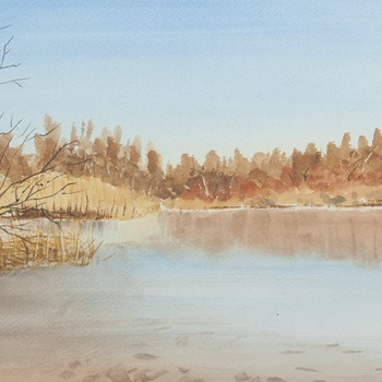 Landscape 17
