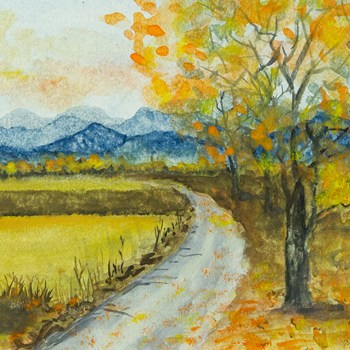 Landscape 3