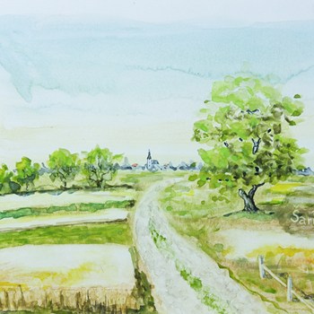 On the way to village